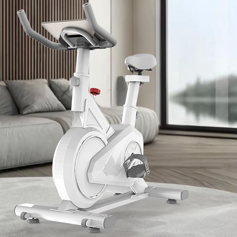 Intelligent Spinning Bike Home - đánh giá và giá Exercise Bike Magnetic Resistance