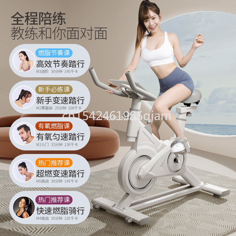 Indoor Upright Fitness Bike Du - đánh giá và giá Exercise Bike Magnetic Resistance