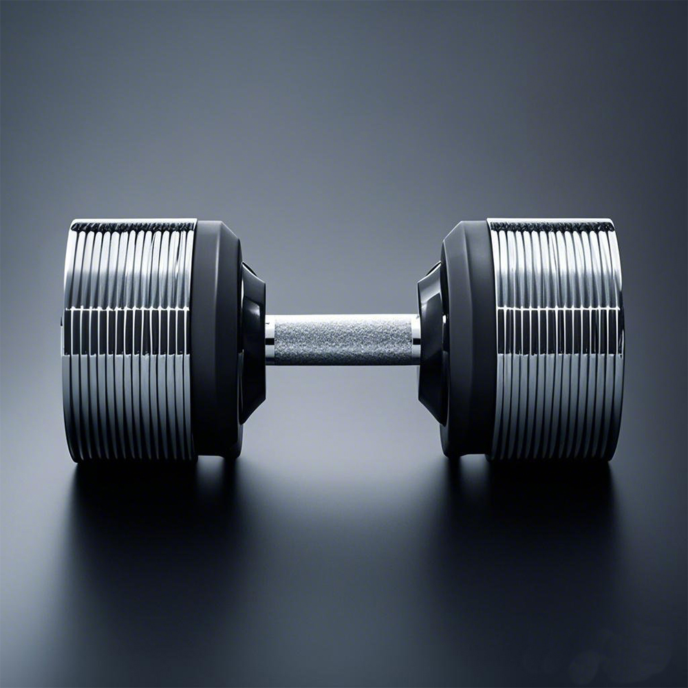40kg Adjustable Increments Dum - đánh giá và giá Adjustable Dumbbell Pair 40Kg
