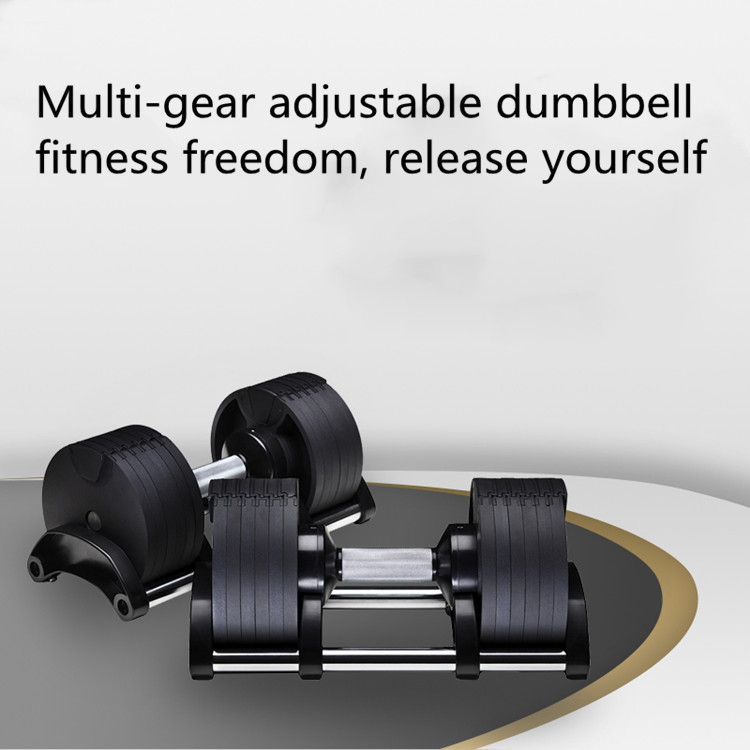 2026 2026 High-End Weights Bod - đánh giá và giá Adjustable Dumbbell Pair 40Kg